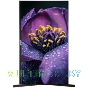 Монитор Irbis NobleView INV32QIDR картинка 3